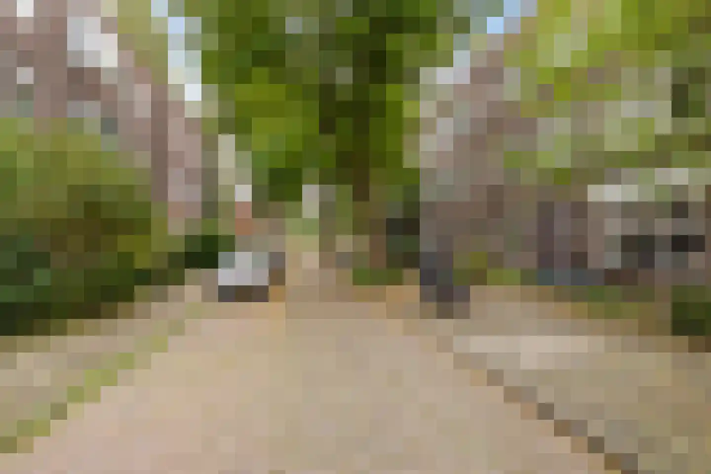 Amalia van Solmsstraat 26 b Groningen thumbnail 5
