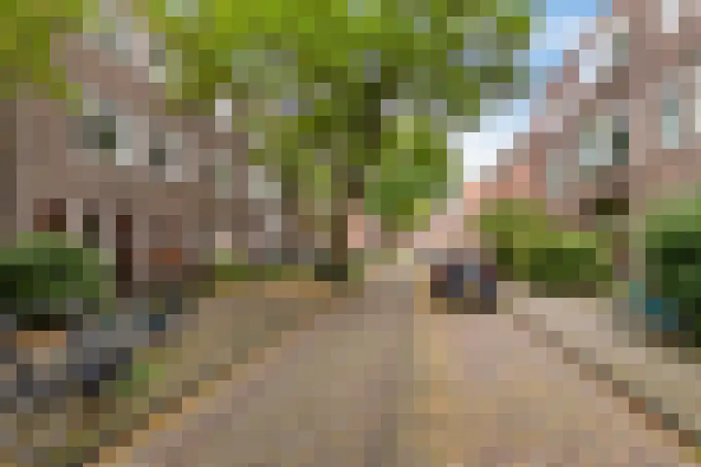 Amalia van Solmsstraat 26 b Groningen thumbnail 6