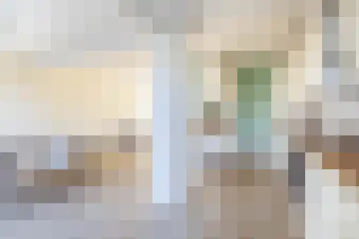 Amalia van Solmsstraat 28 Waddinxveen thumbnail 14