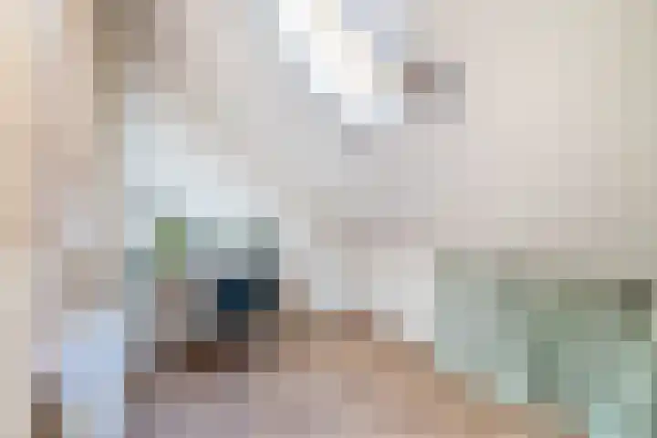 Amalia van Solmsstraat 28 Waddinxveen thumbnail 30
