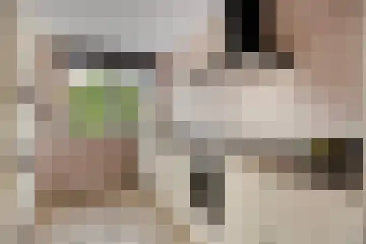 Amalia van Solmsstraat 29 Elst thumbnail 10