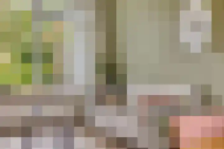 Amalia van Solmsstraat 29 Elst thumbnail 16