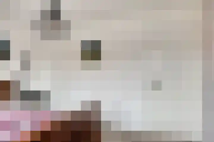 Amalia van Solmsstraat 29 Elst thumbnail 20