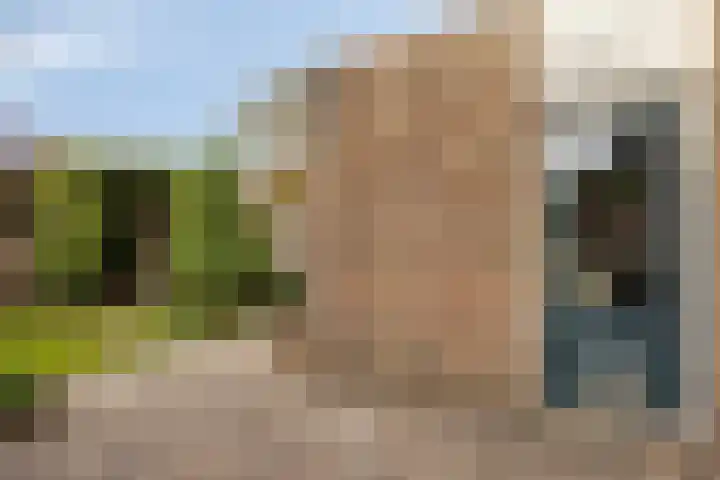 Amalia van Solmsstraat 29 Elst thumbnail 29