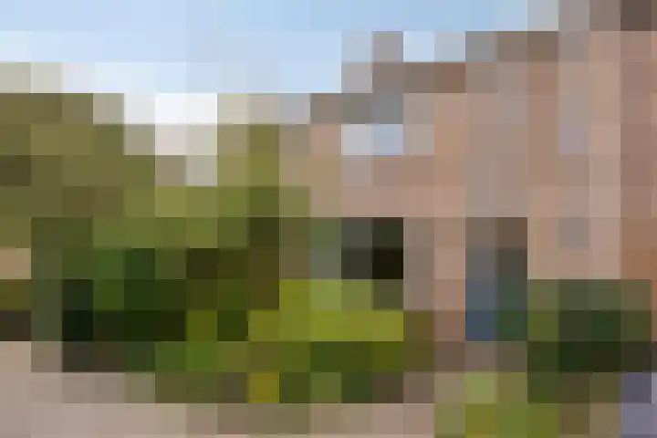 Amalia van Solmsstraat 29 Elst thumbnail 5