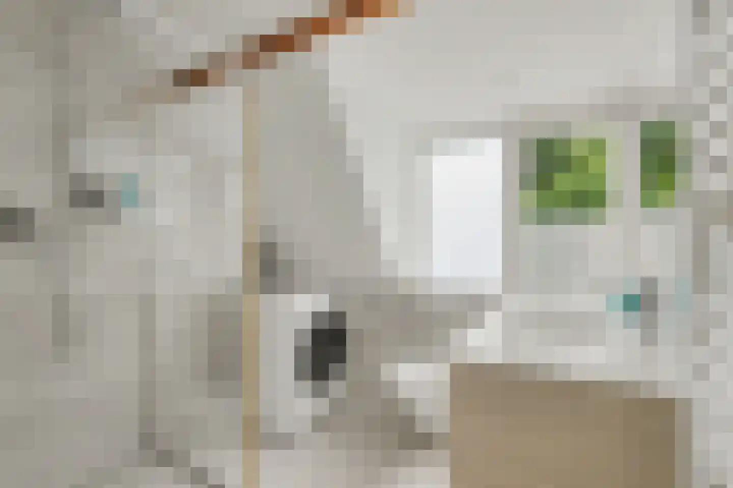 Amalia van Solmsstraat 29 Honselersdijk thumbnail 20