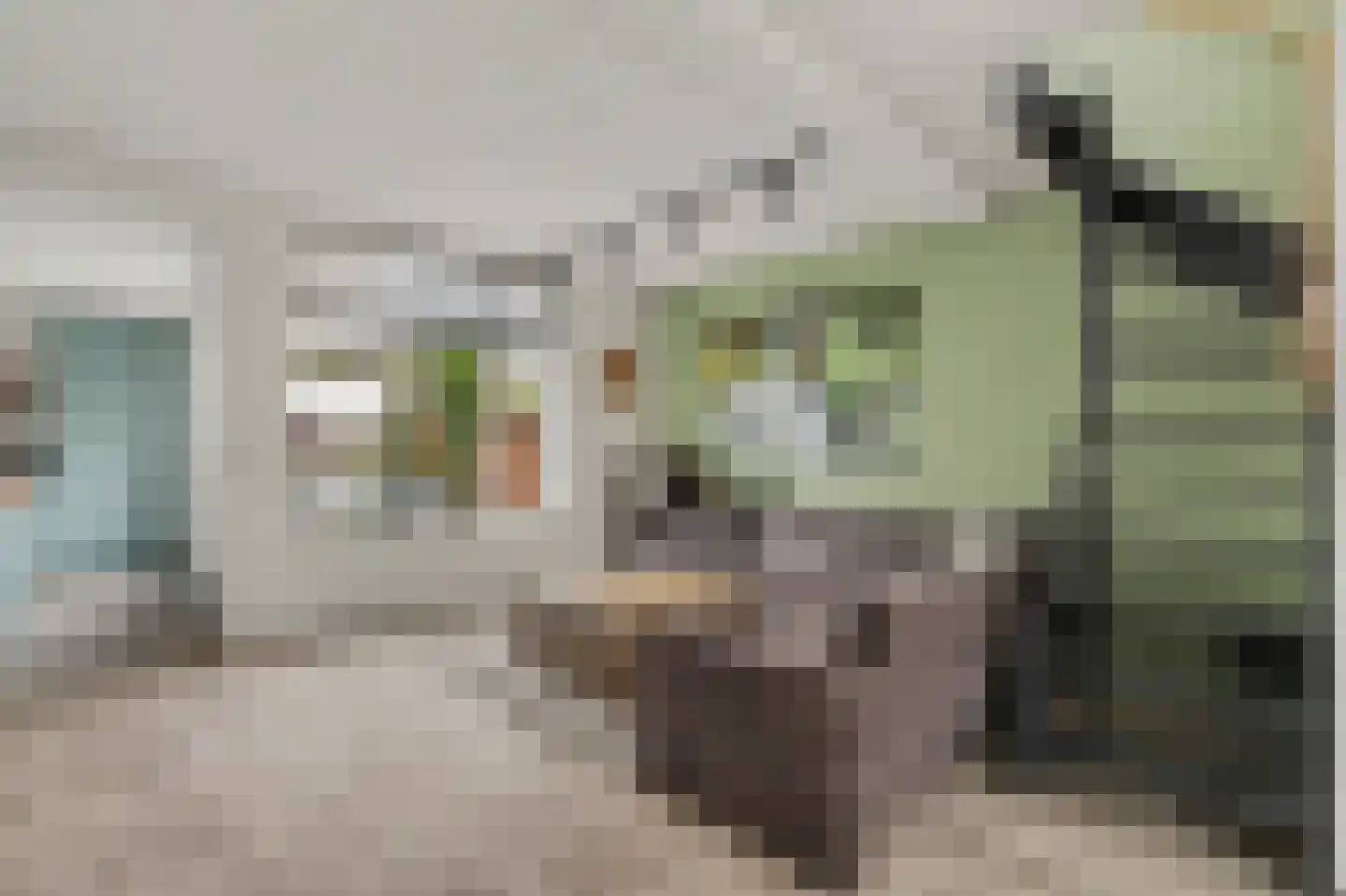 Amalia van Solmsstraat 29 Honselersdijk thumbnail 5