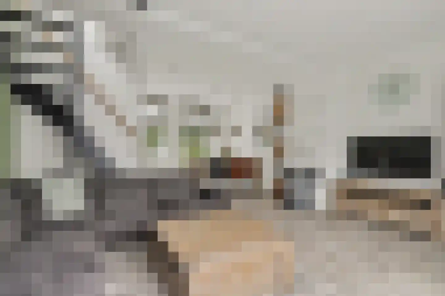 Amalia van Solmsstraat 29 Honselersdijk thumbnail 7
