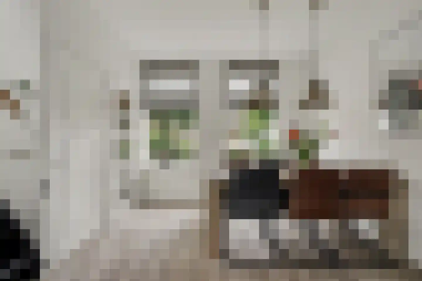 Amalia van Solmsstraat 29 Honselersdijk thumbnail 8