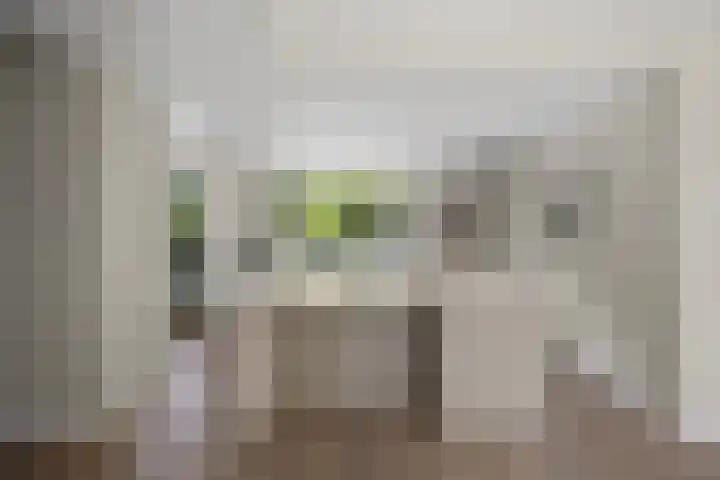 Amalia van Solmsstraat 31 Drunen thumbnail 14