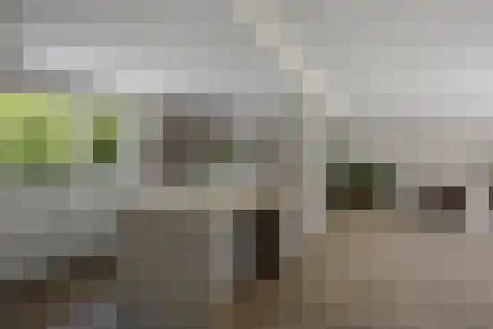 Amalia van Solmsstraat 31 Drunen thumbnail 15
