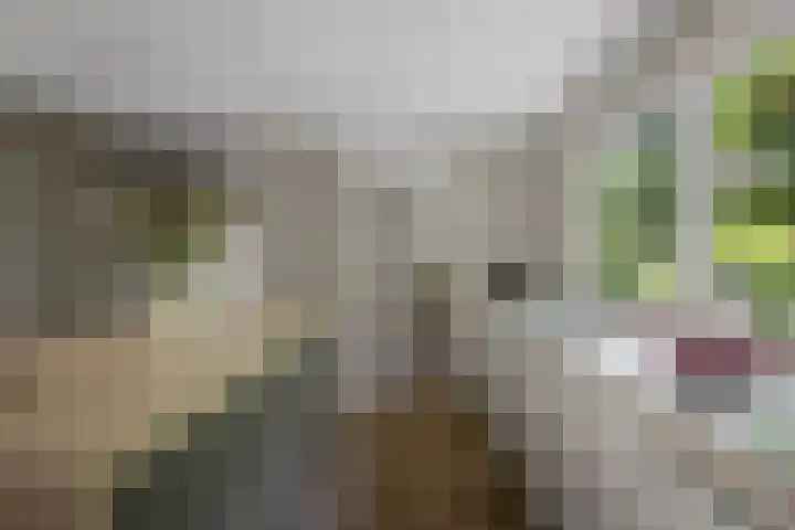 Amalia van Solmsstraat 31 Drunen thumbnail 17