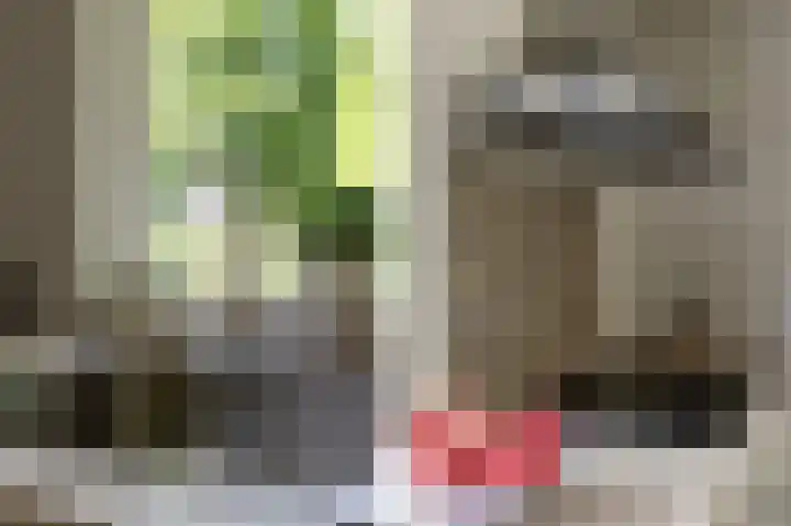 Amalia van Solmsstraat 31 Drunen thumbnail 18
