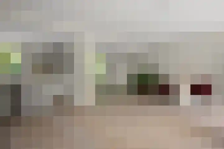 Amalia van Solmsstraat 31 Drunen thumbnail 19