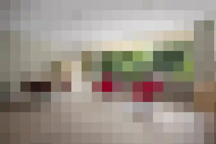 Amalia van Solmsstraat 31 Drunen thumbnail 20