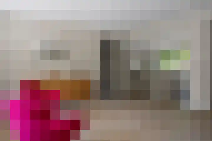Amalia van Solmsstraat 31 Drunen thumbnail 22
