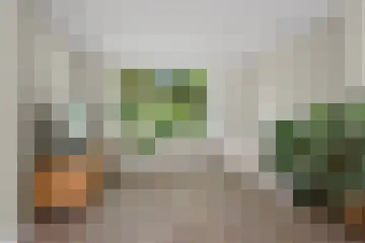Amalia van Solmsstraat 31 Drunen thumbnail 23