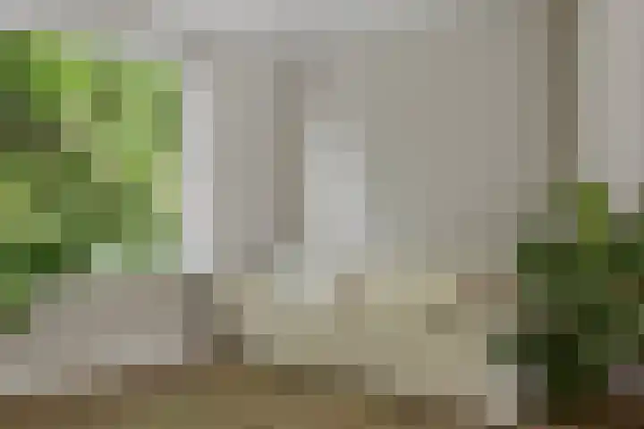 Amalia van Solmsstraat 31 Drunen thumbnail 24