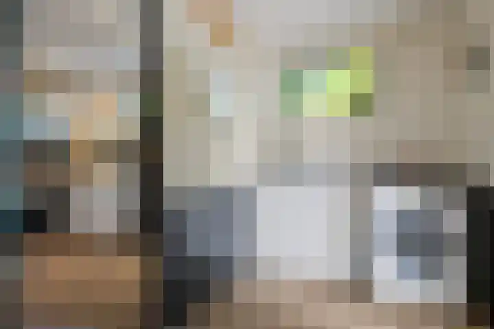 Amalia van Solmsstraat 31 Drunen thumbnail 29