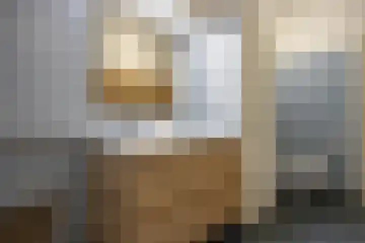 Amalia van Solmsstraat 31 Drunen thumbnail 32
