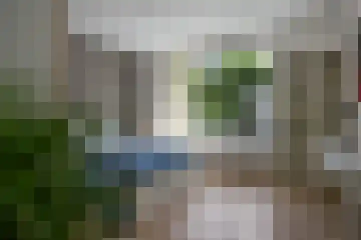 Amalia van Solmsstraat 31 Drunen thumbnail 33
