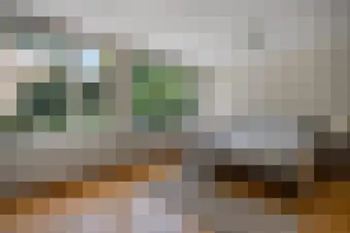 Amalia van Solmsstraat 31 Drunen thumbnail 35