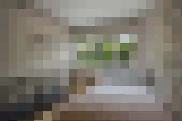 Amalia van Solmsstraat 31 Drunen thumbnail 37