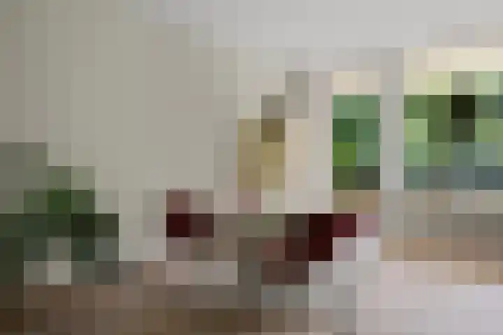 Amalia van Solmsstraat 31 Drunen thumbnail 4