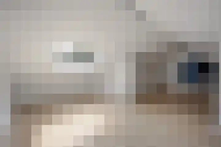 Amalia van Solmsstraat 31 Drunen thumbnail 42