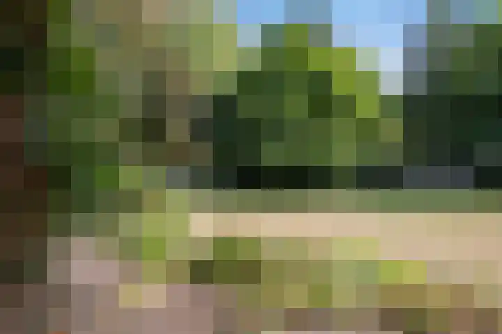 Amalia van Solmsstraat 31 Drunen thumbnail 49