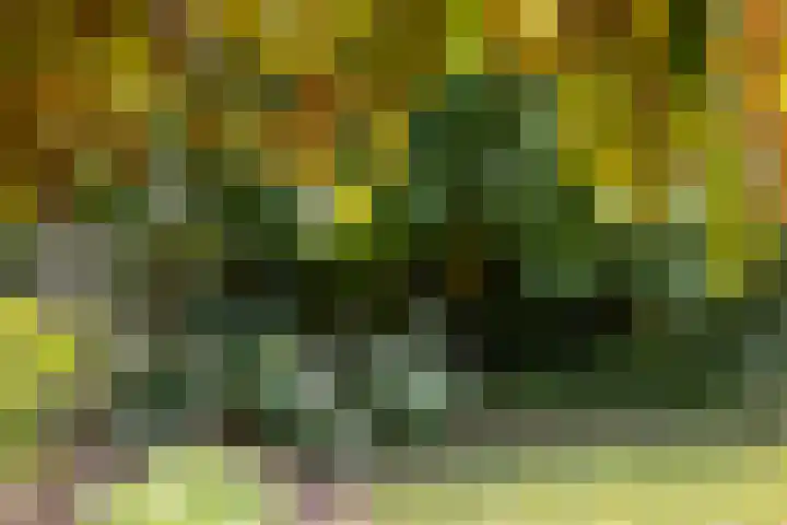 Amalia van Solmsstraat 31 Drunen thumbnail 51