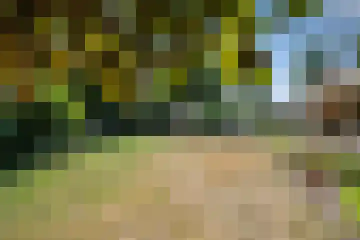 Amalia van Solmsstraat 31 Drunen thumbnail 52