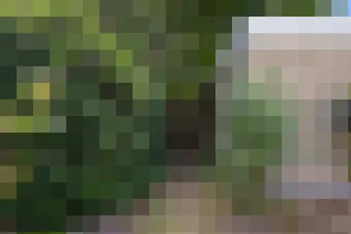 Amalia van Solmsstraat 31 Drunen thumbnail 55