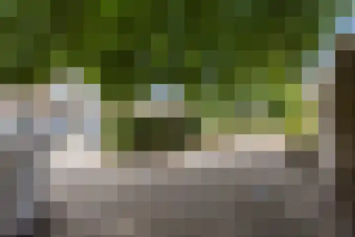Amalia van Solmsstraat 31 Drunen thumbnail 59