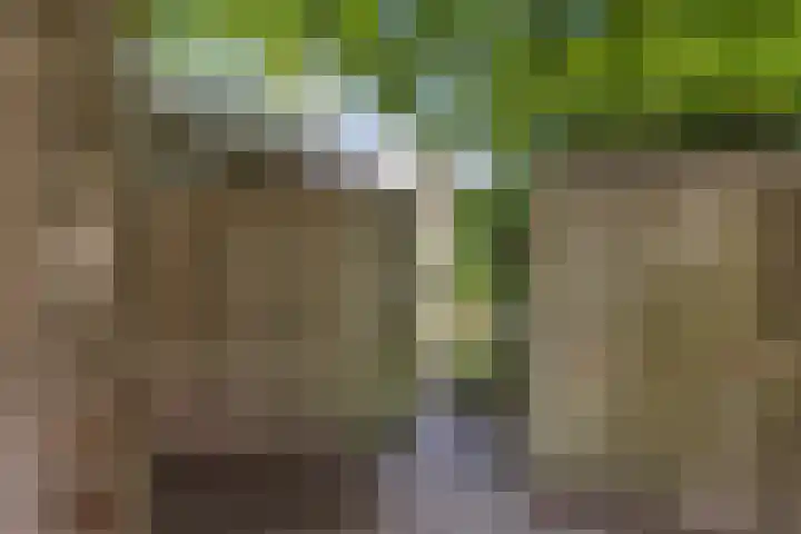 Amalia van Solmsstraat 31 Drunen thumbnail 60