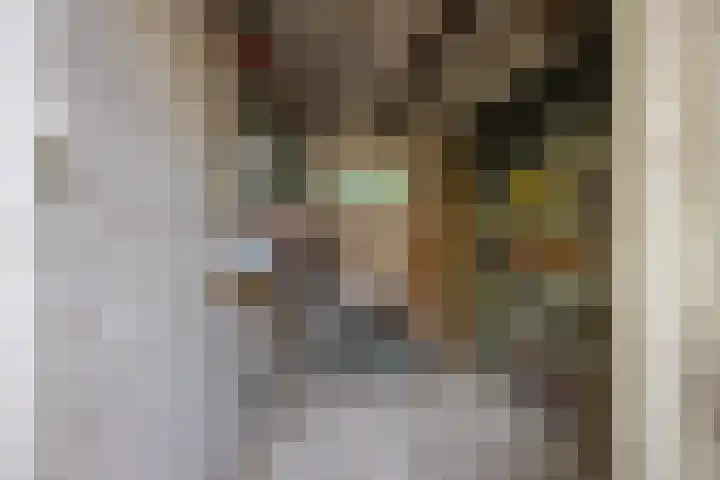 Amalia van Solmsstraat 31 Drunen thumbnail 62