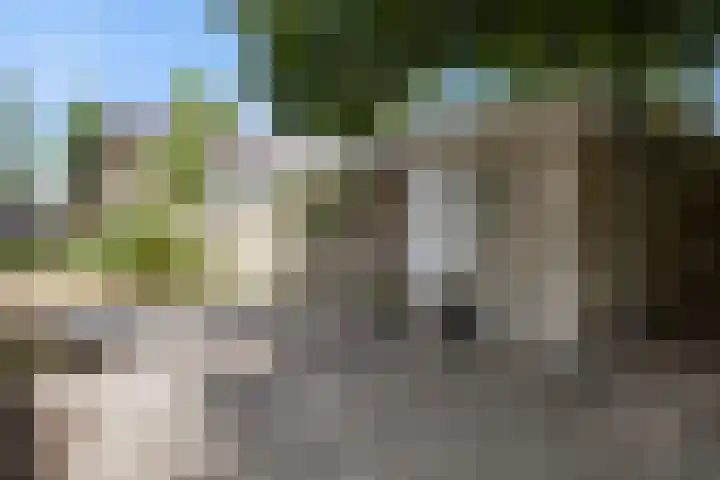 Amalia van Solmsstraat 31 Drunen thumbnail 63