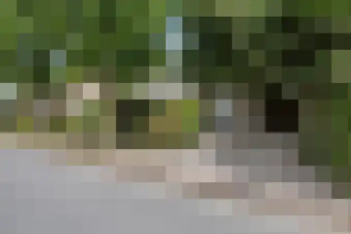Amalia van Solmsstraat 31 Drunen thumbnail 64