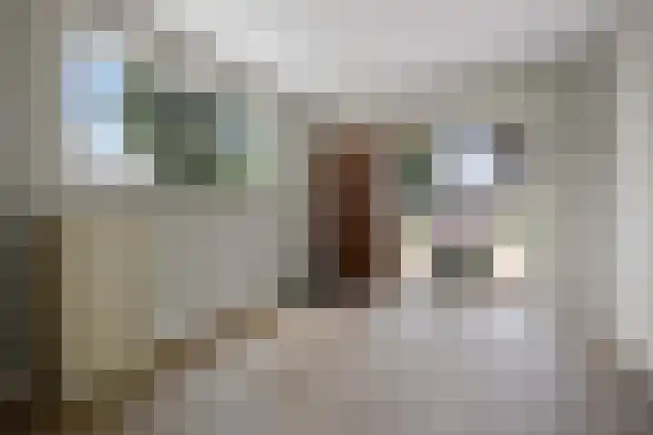 Amalia van Solmsstraat 31 Drunen thumbnail 8