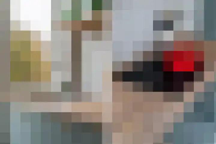 Amalia van Solmsstraat 32 Den Haag thumbnail 13