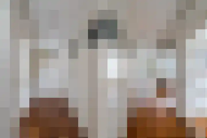 Amalia van Solmsstraat 32 Den Haag thumbnail 15