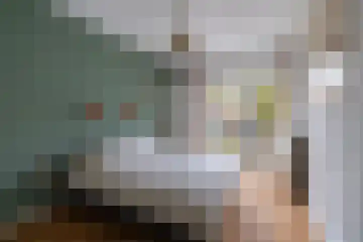Amalia van Solmsstraat 32 Den Haag thumbnail 17