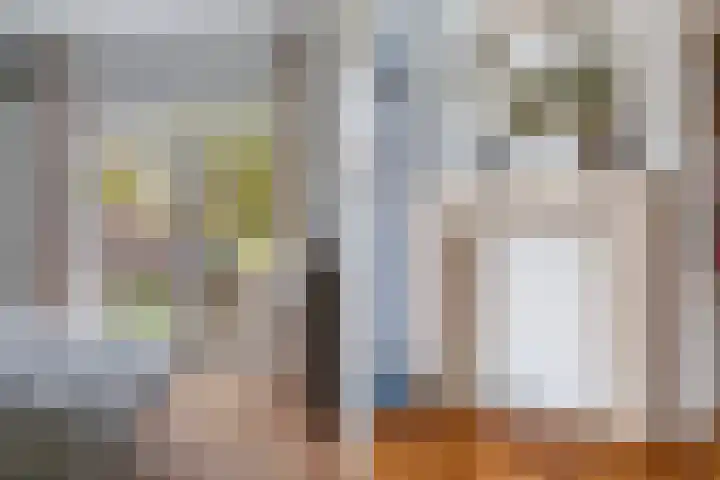 Amalia van Solmsstraat 32 Den Haag thumbnail 18
