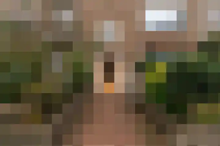 Amalia van Solmsstraat 32 Den Haag thumbnail 33