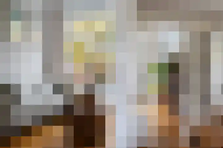 Amalia van Solmsstraat 32 Den Haag thumbnail 9