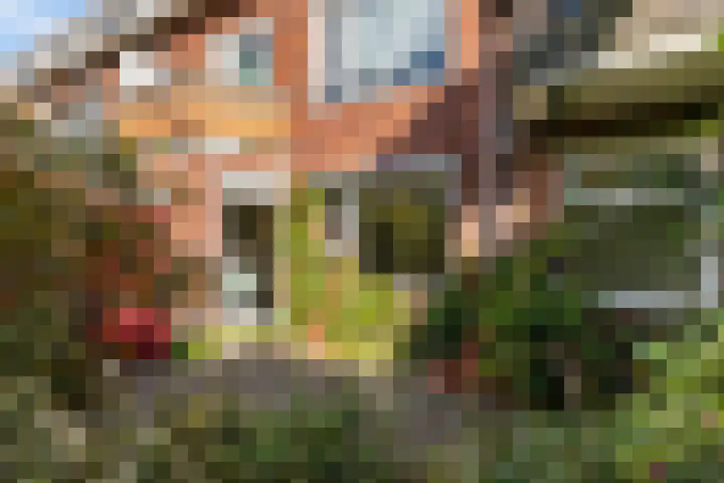 Amalia van Solmsstraat 36 Groningen thumbnail 20