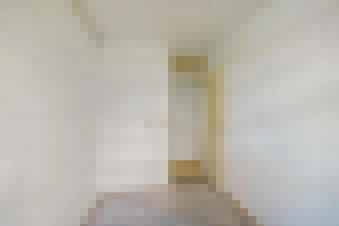 Amalia van Solmsstraat 36 Groningen thumbnail 23