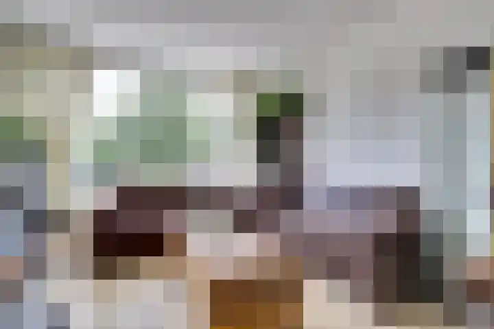 Amalia van Solmsstraat 39 Dordrecht thumbnail 4