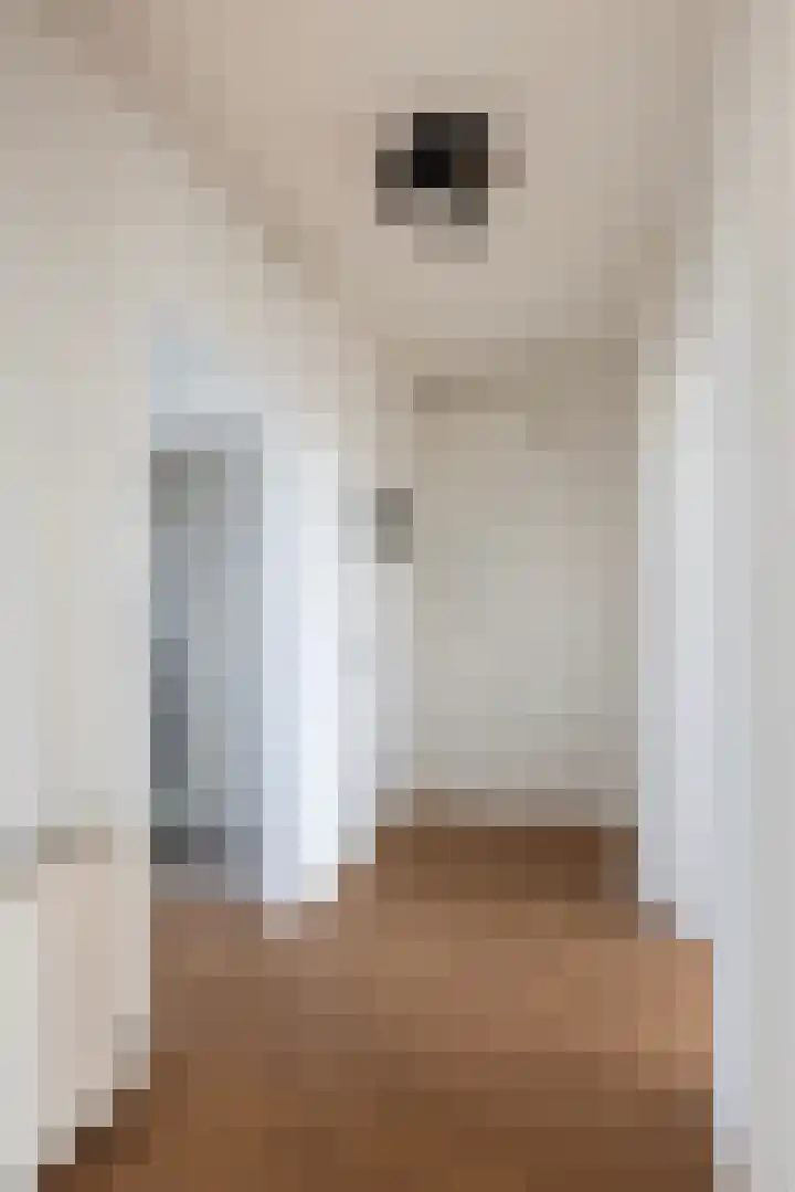 Amalia van Solmsstraat 43 Dordrecht thumbnail 4