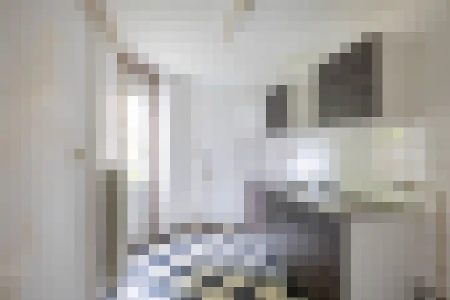 Amalia van Solmsstraat 44 Groningen thumbnail 15